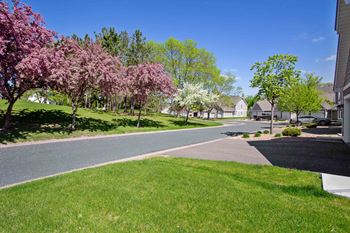 a street in a neighborhood with flowering trees at Seasons Villas, Minnesota